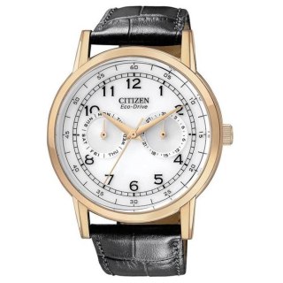 Zegarek Citizen AO9003-16A